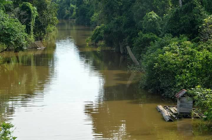 Danau Mare - Katingan