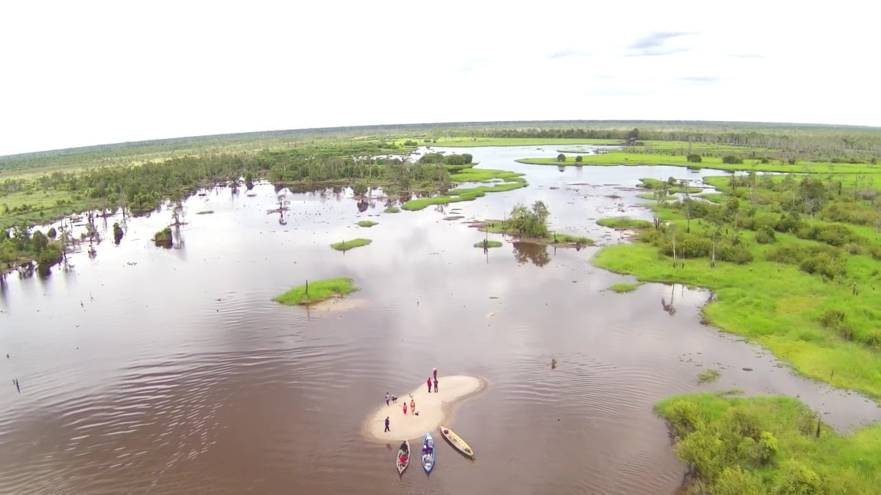 Danau bagantung - Pulpis
