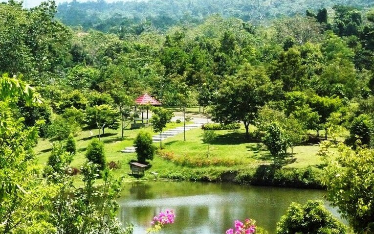 Kebun Raya - Katingan