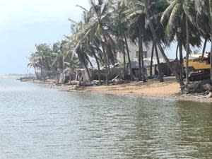 Pulau Camantan - Pulpis