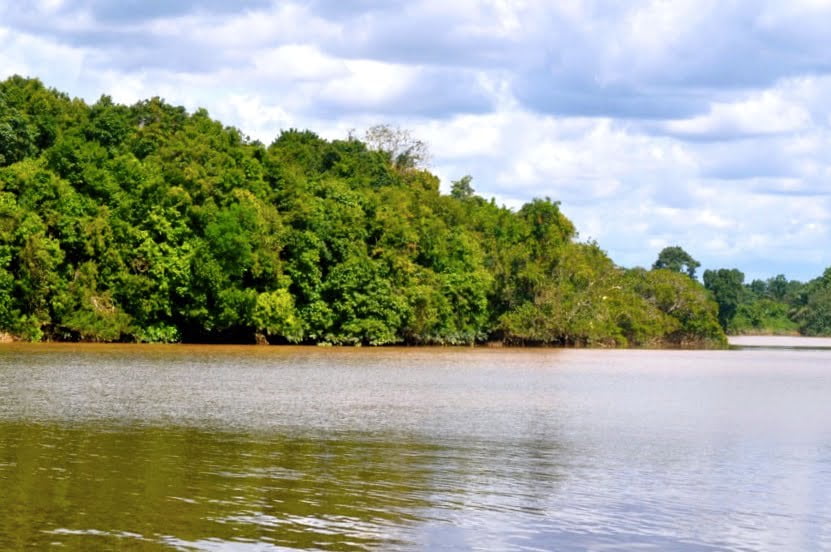 Pulau Mintin - Pulpis
