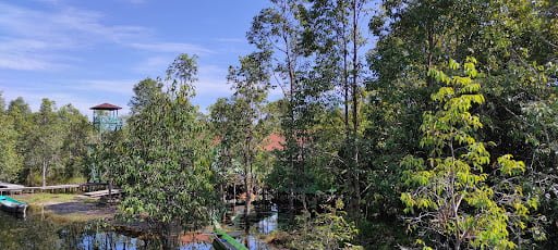 Resort mangkok - Pulpis