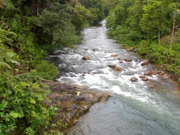 Sungai Setongah - Lamandau