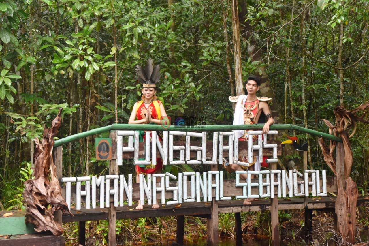 Taman Nasional Punggualas_Katingan